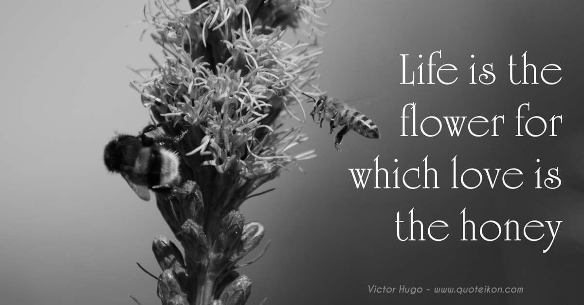 Life Is The Flower For Which Love Is The Honey