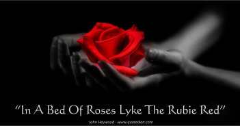 A Bed Of Roses - John Heywood