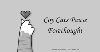 Coy Cats Pause Forethought; A poem about we are all created equal. By Michael Joseph Farrelly