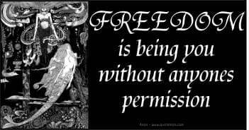 Freedom Is Being You Without Anyones Permission