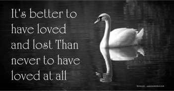 Its Better To Have Loved And Lost Than Never To Have Loved At All