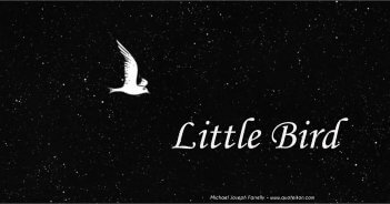 Little Bird; A poem about the beauty of freedom. By Michael Joseph Farrelly