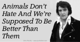 Animals Don't Hate And We're Supposed To Be Better Than Them