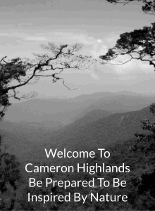 Eco Cameron Inspired By Nature In Malaysia's Highlands